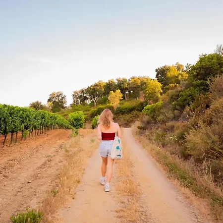 Grand Confort - Salle De Bain Italienne - Au Coeur Du Vignoble A 10 Min De La *