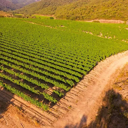 Grand Confort - Salle De Bain Italienne - Au Coeur Du Vignoble A 10 Min De La בית נופש